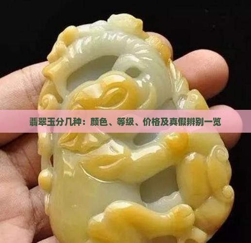 翡翠玉分几种：颜色、等级、价格及真假辨别一览