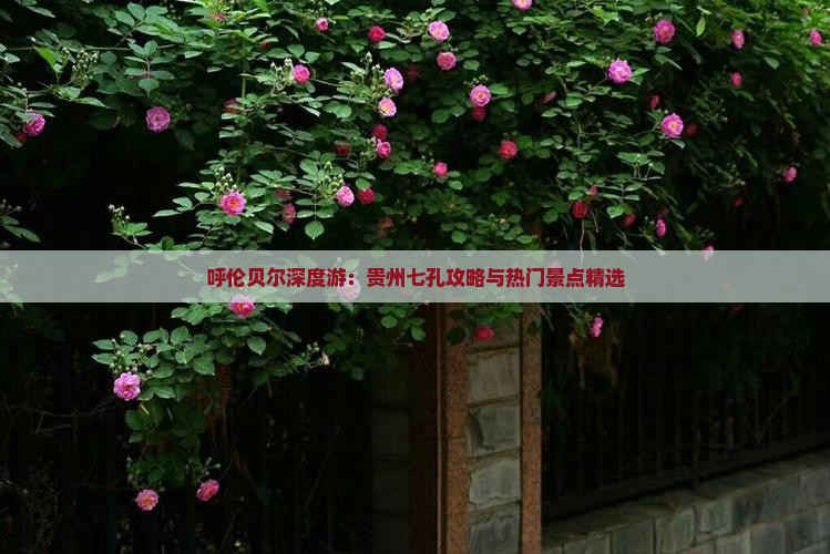 呼伦贝尔深度游：贵州七孔攻略与热门景点精选