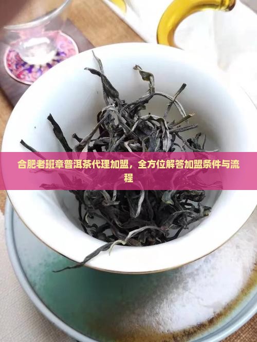 合肥老班章普洱茶代理加盟，全方位解答加盟条件与流程