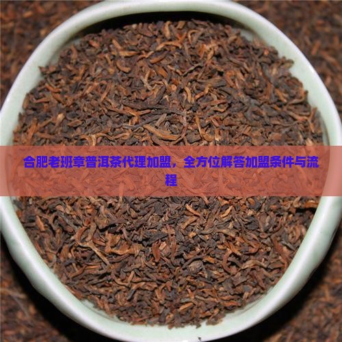 合肥老班章普洱茶代理加盟，全方位解答加盟条件与流程