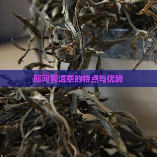 郎河普洱茶的特点与优势
