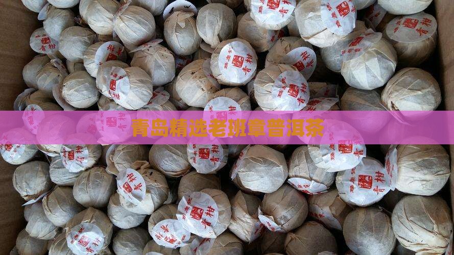 青岛精选老班章普洱茶