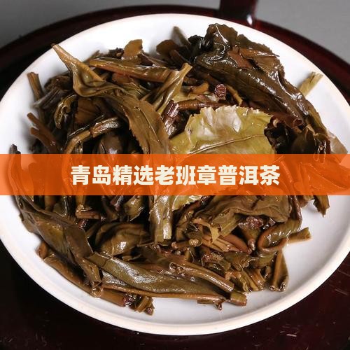 青岛精选老班章普洱茶