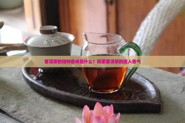普洱茶的独特香味是什么？探索普洱茶的迷人香气
