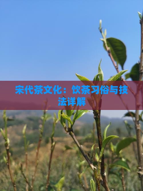 宋代茶文化：饮茶习俗与技法详解