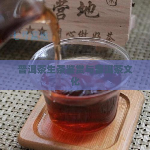 普洱茶生茶鉴赏与普洱茶文化