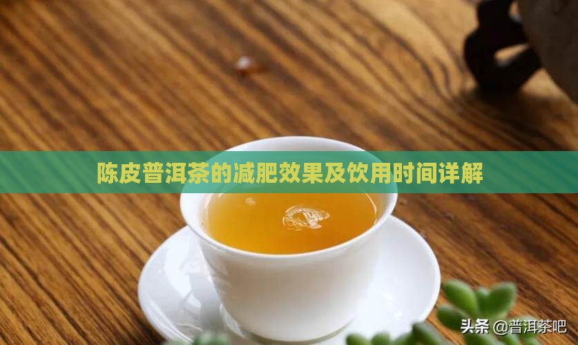 陈皮普洱茶的减肥效果及饮用时间详解