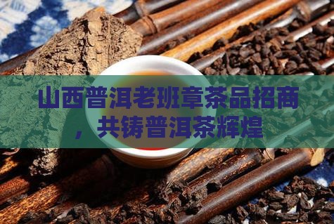 山西普洱老班章茶品招商，共铸普洱茶辉煌