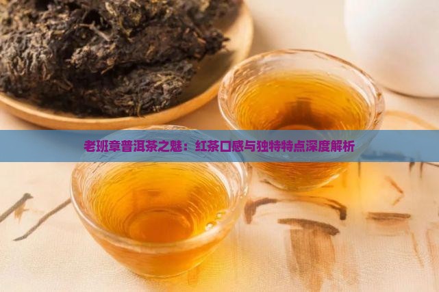 老班章普洱茶之魅：红茶口感与独特特点深度解析
