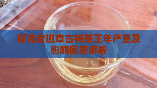 探究老班章古树茶王年产量及影响因素解析
