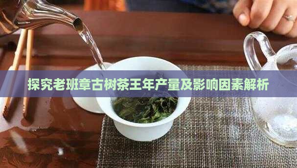 探究老班章古树茶王年产量及影响因素解析