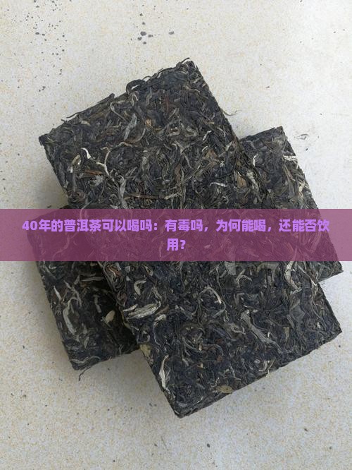 40年的普洱茶可以喝吗：有毒吗，为何能喝，还能否饮用？