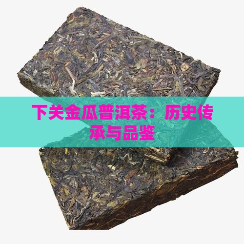 下关金瓜普洱茶：历史传承与品鉴