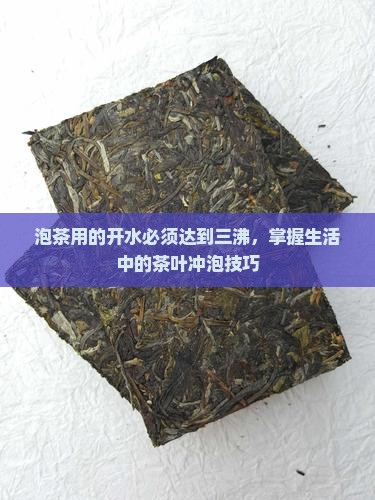 泡茶用的开水必须达到三沸，掌握生活中的茶叶冲泡技巧