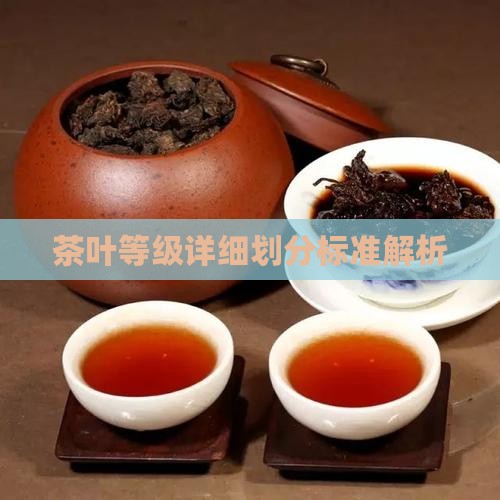 茶叶等级详细划分标准解析