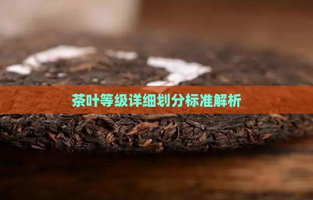 茶叶等级详细划分标准解析