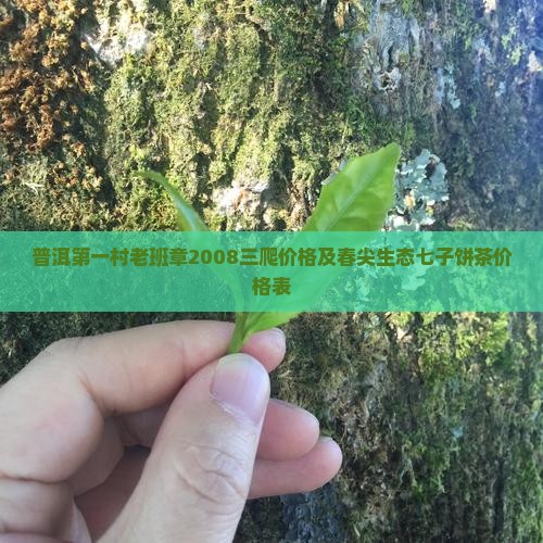 普洱第一村老班章2008三爬价格及春尖生态七子饼茶价格表