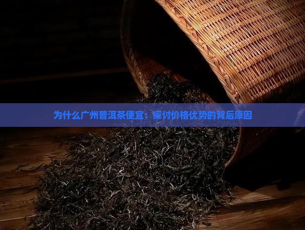 为什么广州普洱茶便宜：探讨价格优势的背后原因