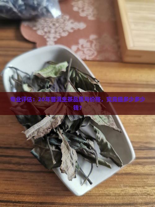 专业评估：20年普洱生茶品质与价格，究竟值多少多少钱？