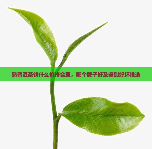 熟普洱茶饼什么价格合理，哪个牌子好及鉴别好坏挑选