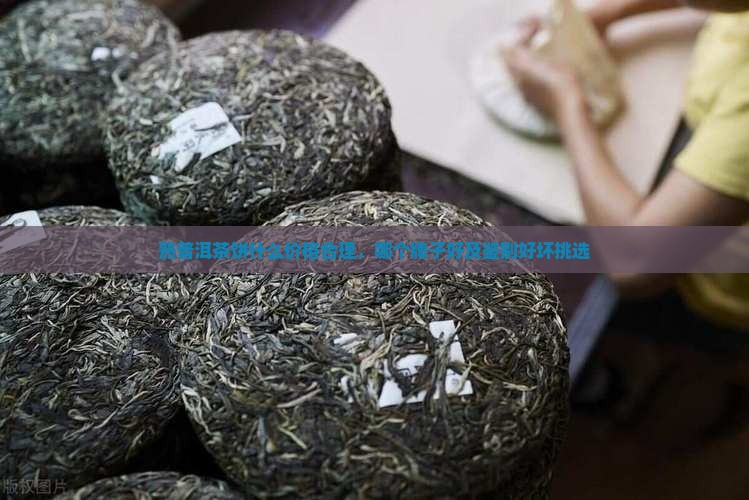 熟普洱茶饼什么价格合理，哪个牌子好及鉴别好坏挑选