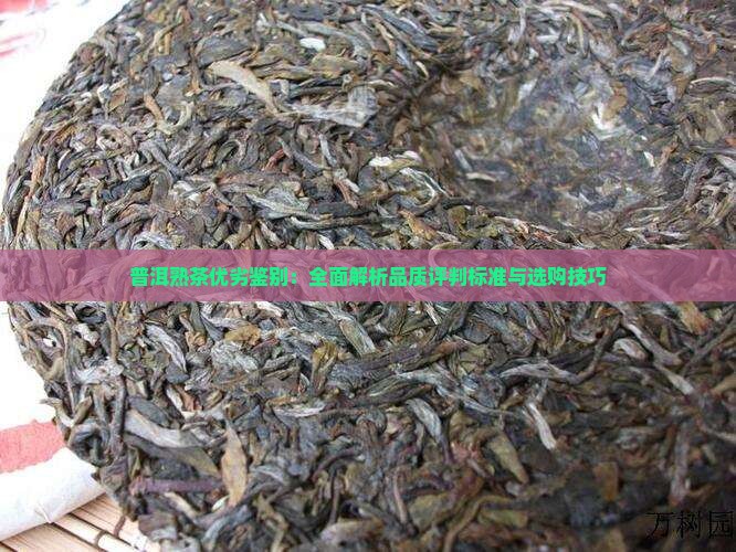 普洱熟茶优劣鉴别：全面解析品质评判标准与选购技巧