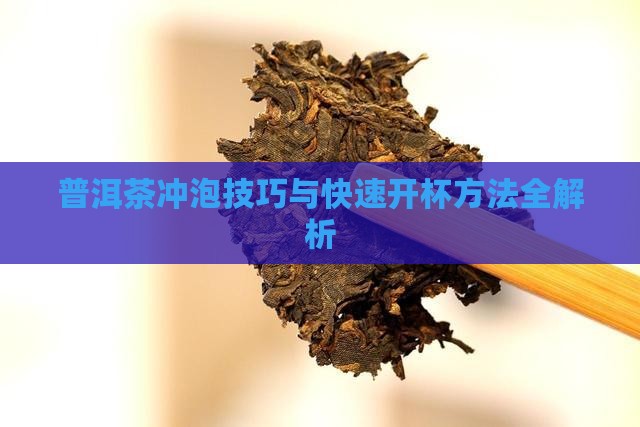 普洱茶冲泡技巧与快速开杯方法全解析