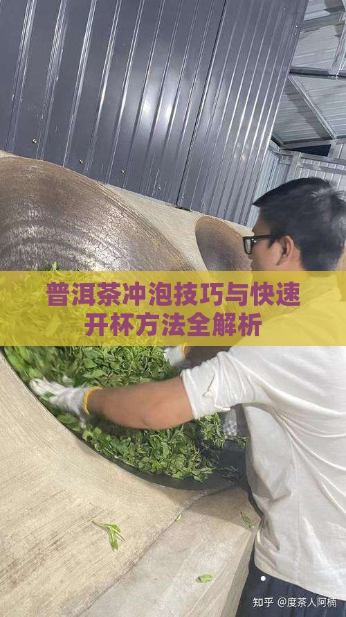 普洱茶冲泡技巧与快速开杯方法全解析