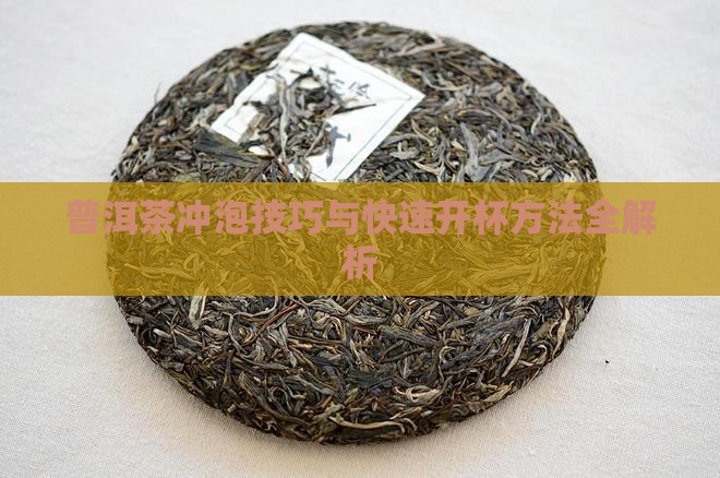 普洱茶冲泡技巧与快速开杯方法全解析