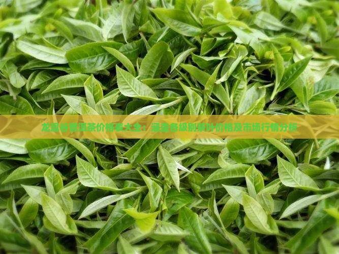 龙凰谷普洱茶价格表大全：涵盖各级别茶叶价格及市场行情分析