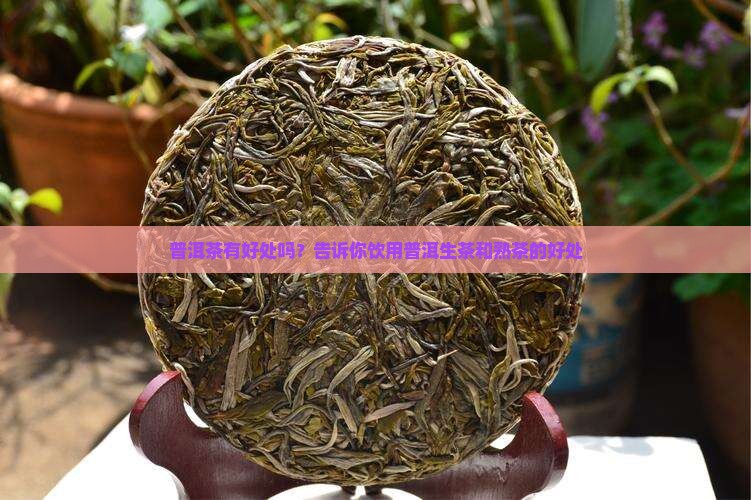 普洱茶有好处吗？告诉你饮用普洱生茶和熟茶的好处
