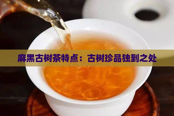 麻黑古树茶特点：古树珍品独到之处