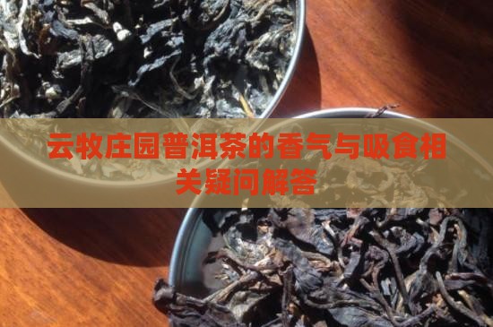 云牧庄园普洱茶的香气与吸食相关疑问解答