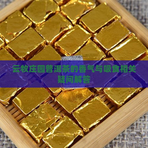 云牧庄园普洱茶的香气与吸食相关疑问解答