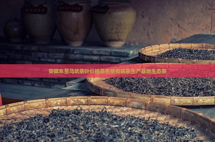 安徽东至马坑茶叶价格及名茶有机茶生产基地生态茶