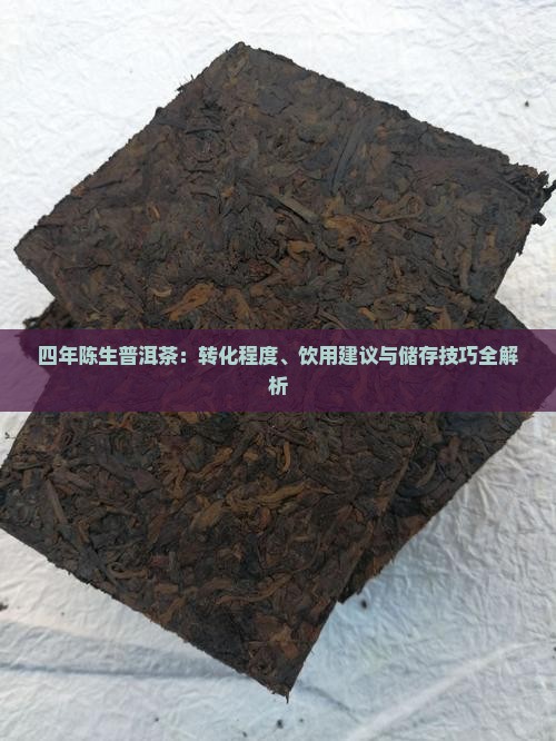 四年陈生普洱茶：转化程度、饮用建议与储存技巧全解析