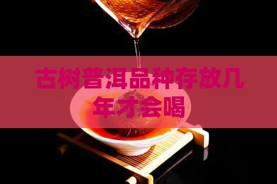古树普洱品种存放几年才会喝