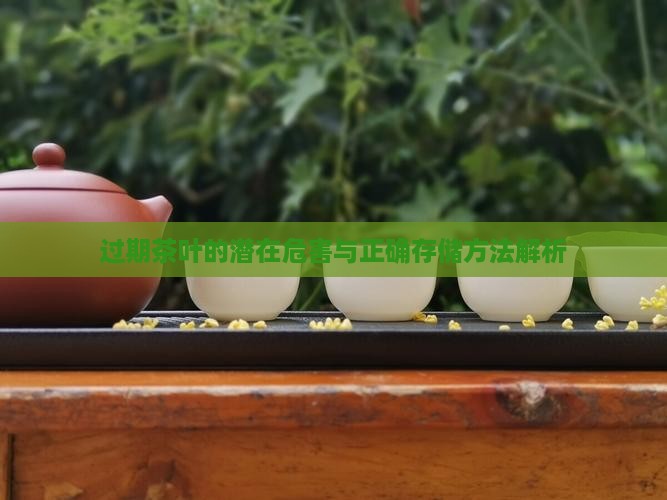 过期茶叶的潜在危害与正确存储方法解析
