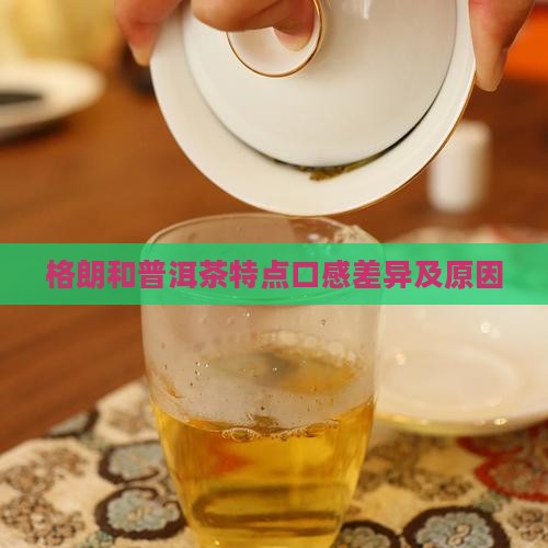 格朗和普洱茶特点口感差异及原因