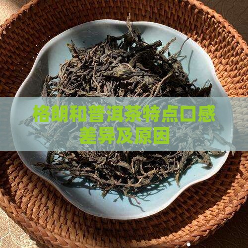 格朗和普洱茶特点口感差异及原因