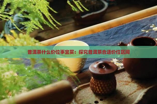 普洱茶什么价位事宜买：探究普洱茶合适价位区间