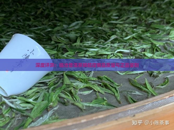深度评测：临沧普洱茶旗舰店商品质量与正品鉴别