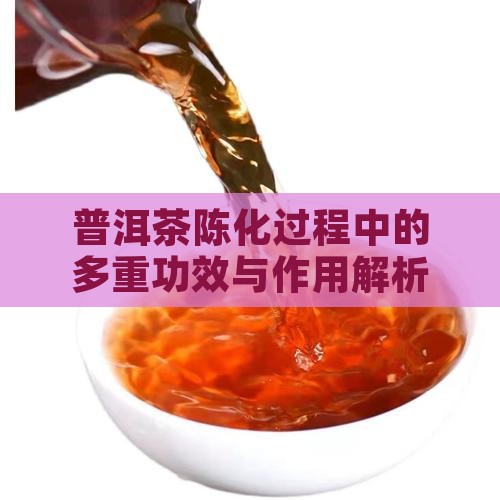 普洱茶陈化过程中的多重功效与作用解析