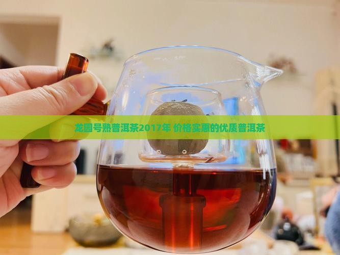 龙园号熟普洱茶2017年 价格实惠的优质普洱茶