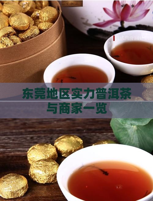 东莞地区实力普洱茶与商家一览