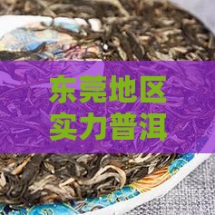 东莞地区实力普洱茶与商家一览