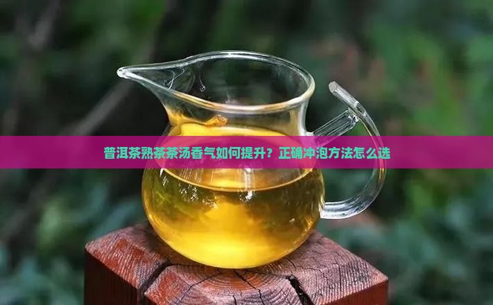 普洱茶熟茶茶汤香气如何提升？正确冲泡方法怎么选