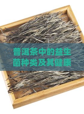 普洱茶中的益生菌种类及其健康益处探究