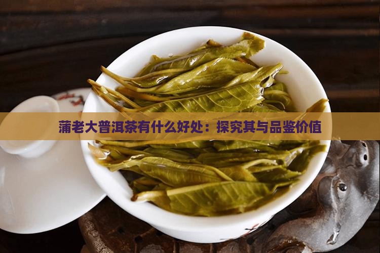 蒲老大普洱茶有什么好处：探究其与品鉴价值