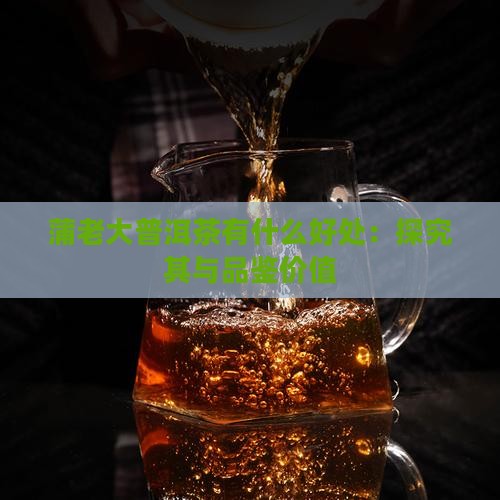 蒲老大普洱茶有什么好处：探究其与品鉴价值